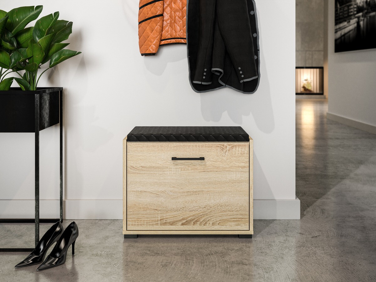 Meubles à chaussures Camtesu 100