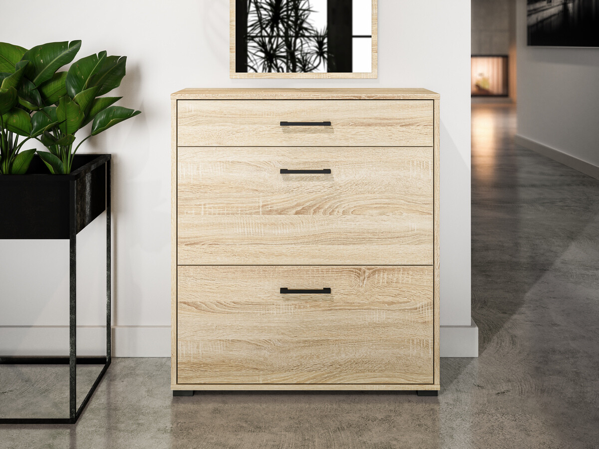 Meubles à chaussures Camtesu 109