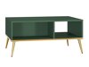 Ensemble de salon Flonovu 109 (Vert foncé + Doré)