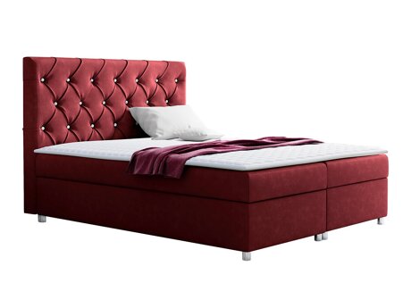 Lit continental Baltimore 112 (Primo 8801)