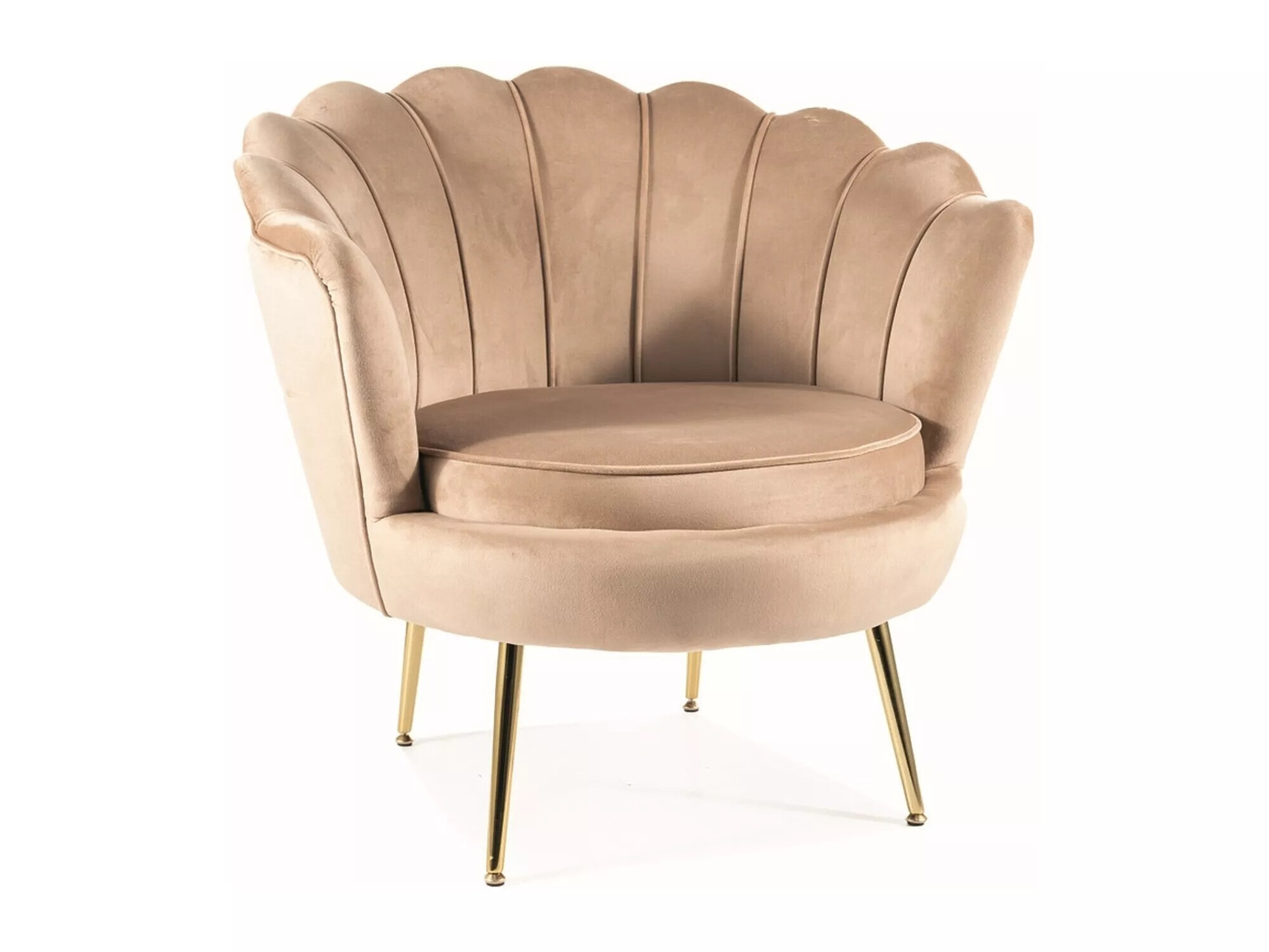 Fauteuil Detroit 483 (Beige)