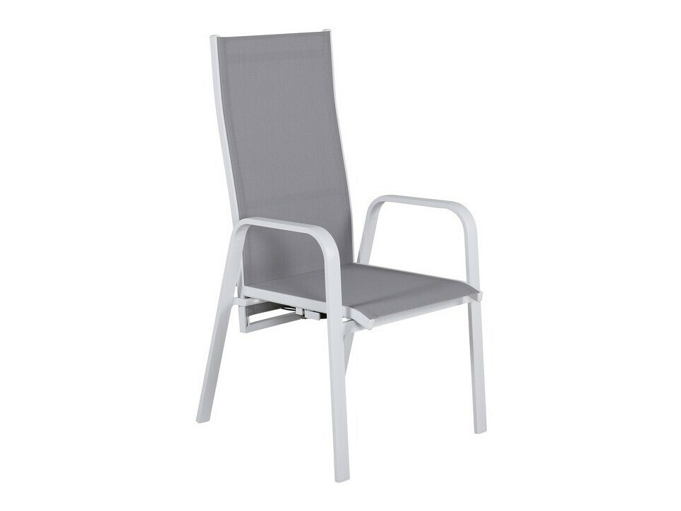 Chaise de jardin Dallas 2776 (Blanc + Gris)