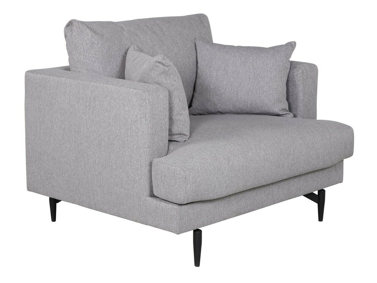 Fauteuil Dallas 1703 (Gris clair + Noir)