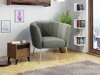 Fauteuil Orem 112 (Magic Velvet 2217)