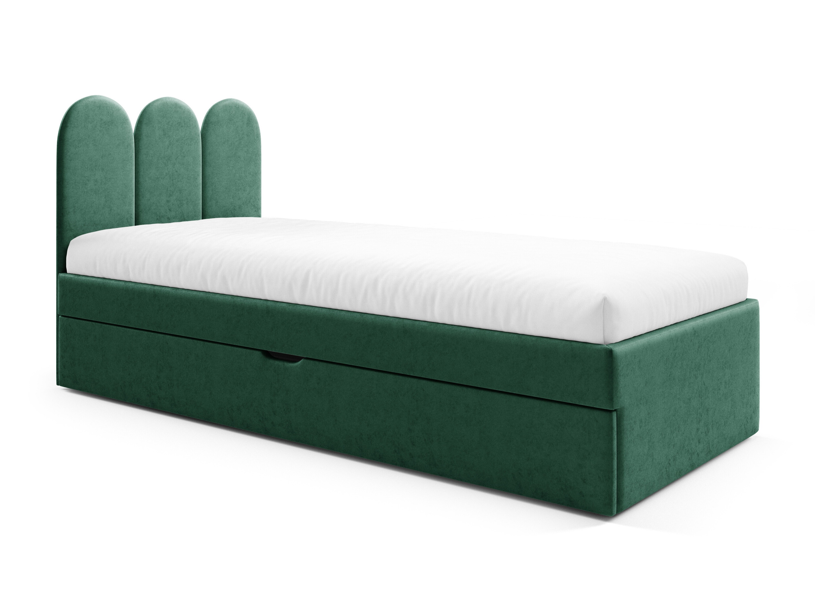 Lit Franklin 231 (Magic Velvet 2225)