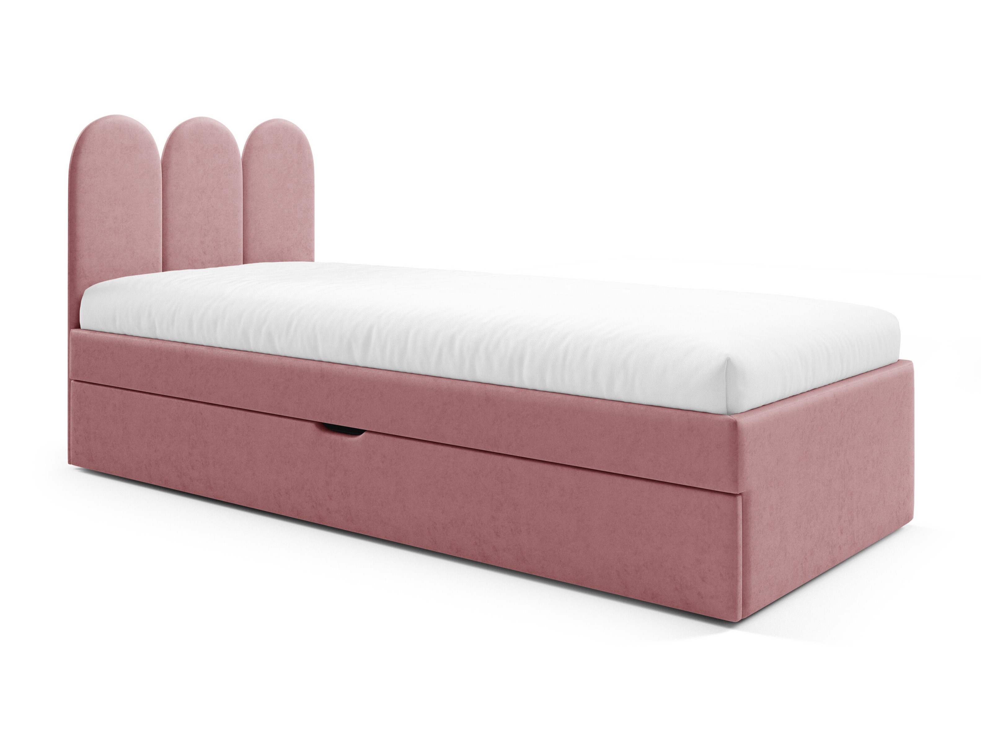Lit Franklin 231 (Magic Velvet 2258)