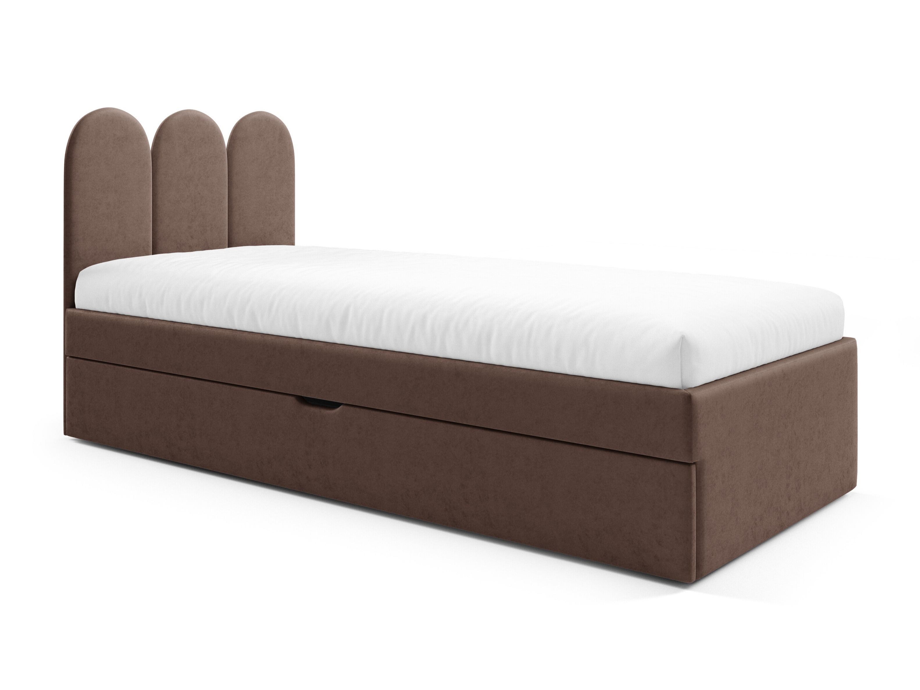 Lit Franklin 231 (Magic Velvet 2299)