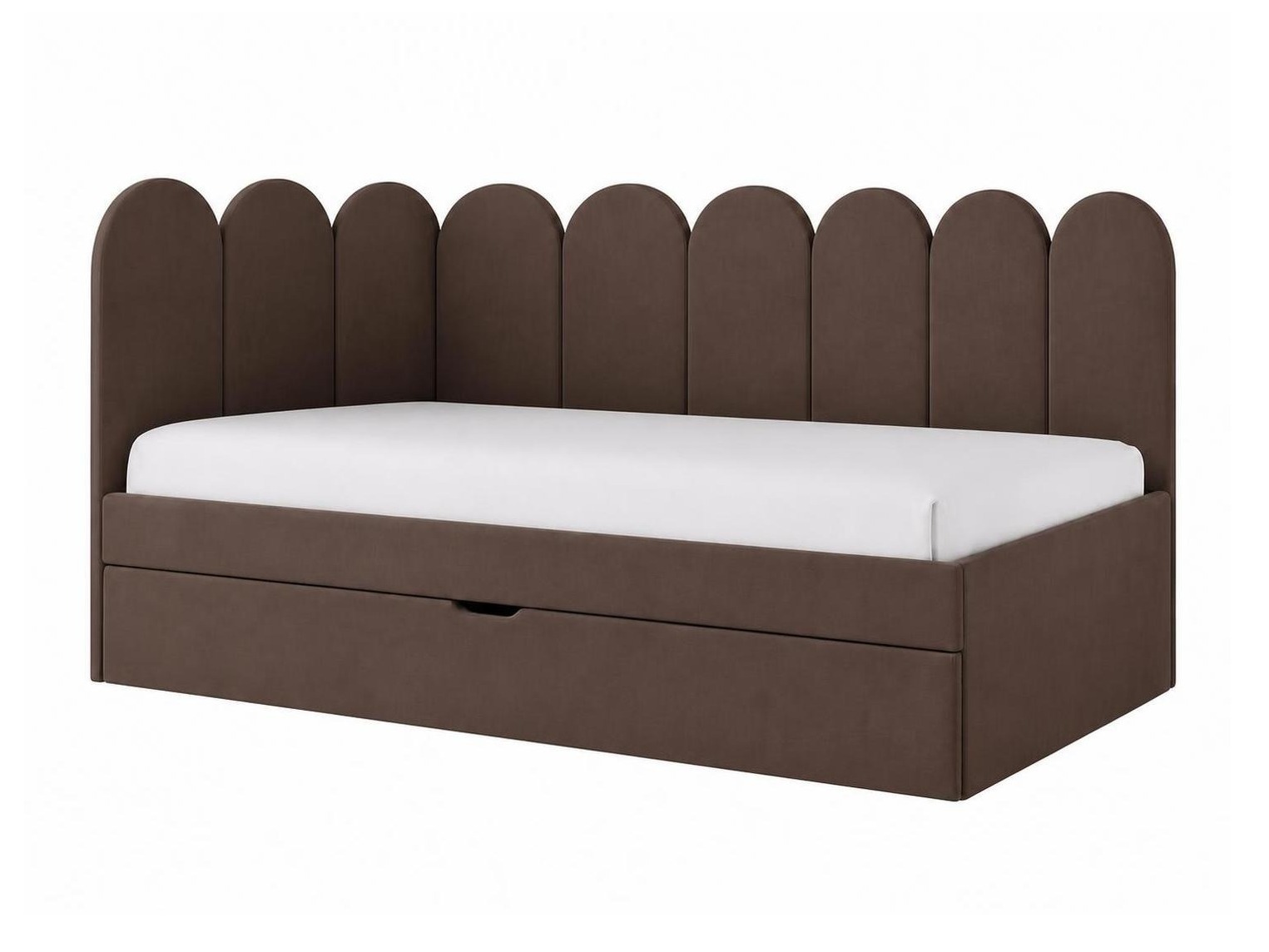 Lit Franklin 232 (Magic Velvet 2299)